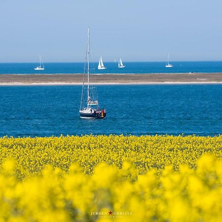 Treibhaus Lägenhet Büsum Exteriör bild