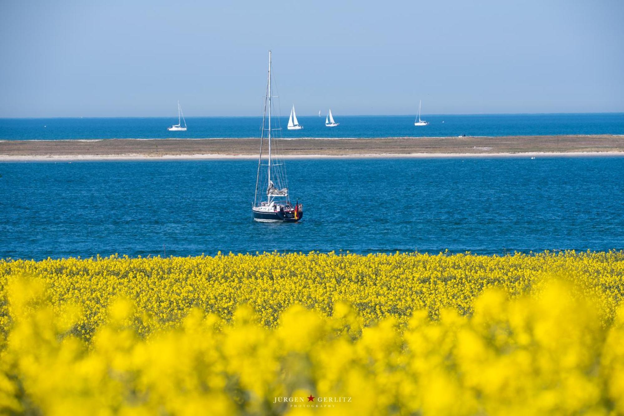 Treibhaus Lägenhet Büsum Exteriör bild